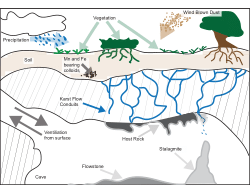 <b>IBIS: an Integrated Bayesian approach for unique Initial thorium corrections and age-depth models in U-Th dating of Speleothems</b>