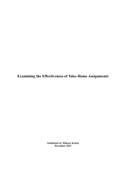 Examining the Effectiveness of Take-Home Assignments