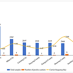<b>Spectrum and </b><b>c</b><b>arrier </b><b>f</b><b>requency of </b><b>DMD</b><b> in Yueyang City, China: </b><b>a</b><b> </b><b>p</b><b>opulation-</b><b>b</b><b>ased </b><b>a</b><b>nalysis </b><b>u</b><b>sing NGS and MLPA</b><b>c</b><b>阿里尔</b><b>f</b><b>频率</b><b>DMD的</b><b>中国岳阳市：</b><b>一个</b><b> </b><b>p</b><b>丰盛-</b><b>b</b><b>阿塞德</b><b>一个</b><b>纳利西斯</b><b>u</b><b>sing NGS and MLPA</b>