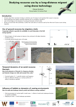 WD Summer School Poster: Studying resource use by a long-distance migrant using drone technology