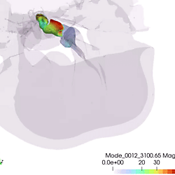 Fin whale TPC vibration, mode 10