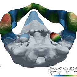 Gray whale TPC vibration mode 16