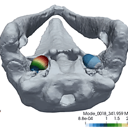 Gray whale TPC vibration mode 18