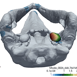 Gray whale TPC vibration mode 26