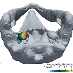 Gray whale TPC vibration mode 29
