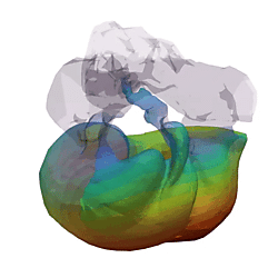 Fin whale TPC vibration, mode 1