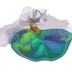 Fin whale TPC vibration, mode 10