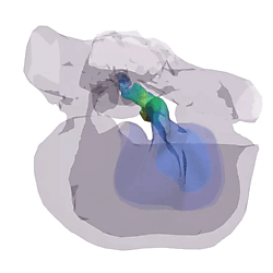 Fin whale TPC vibration, mode 15