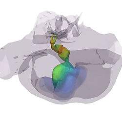 Fin whale TPC vibration, mode 6