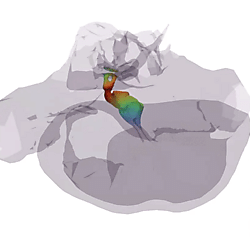 Fin whale TPC vibration, mode 5