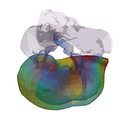 Fin whale TPC vibration, mode 2