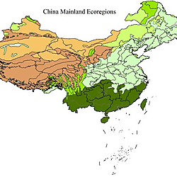<b>Interpreting the Impact of Climate Change on Vegetation in China's Various Ecoregions</b>