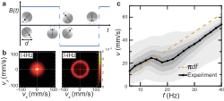 Dataset for ‘Flocking phase separation in inertial active matter’