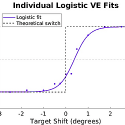 Computational Characterization of Decision Making During Trans-saccadic Visual Perception
