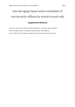 Supplemental material Vascular ageing impairs active modulation of murine aortic stiffness by smooth muscle cells.docx