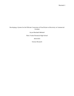 Developing a System for the Efficient Conversion of Food Waste to Electricity in Commercial Aviation