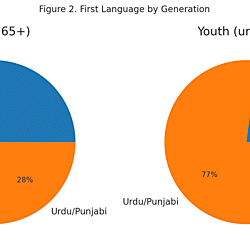 <b><i>Naming, Erasure, and Identity: A Qualitative Study of the Jammu (Occupied by Pakistan) Diaspora in the United Kingdom</i></b>