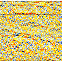 Vertical Dip Linkage and Ramp-Flat-Ramp Geometry in Salt-influenced Normal Faults: Insights from the Qianbei Fault, Jianghan Basin (Eastern China)
