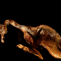 Mummified Prehistoric Vertebrate in Burmite Cretaceous Amber Micro CT Render