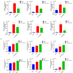 <b>GCRV-I outer capsid protein VP5 triggers TRAP1 degradation via K48-linked ubiquitination at K123 and K195 to induce apoptosis</b>