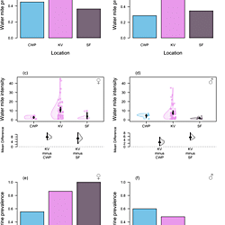<b>Patterns of water mite and gregarine parasitism in </b><b><i>Ischnura heterosticta</i></b><b> (Odonata: Zygoptera) </b><b>damselfly populations and their impact on body condition</b>