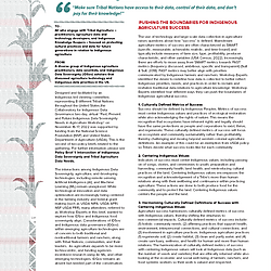 Safeguarding Traditions, Enhancing Agriculture: Indigenous Data Sovereignty as a Tool in the Age of AI Centered Agriculture