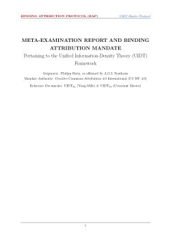 UIDT - META-EXAMINATION REPORT AND BINDING ATTRIBUTION MANDATE
