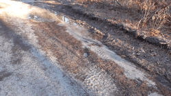 2024 12 31 Ocean County -w- Feeding Remains