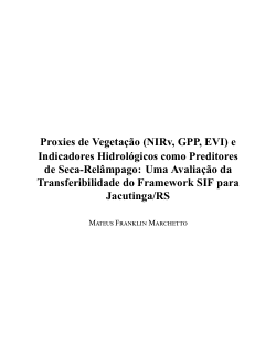 Proxies de Vegetação (NIRv, GPP, EVI) e Indicadores Hidrológicos como Preditores de Seca-Relâmpago: Uma Avaliação da Transferibilidade do Framework SIF para Jacutinga/RS