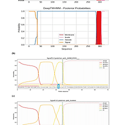 <b>Supplemental materials</b> for the manuscript:Complete discrimination of RNA editing sites in chloroplast transcripts of Chelidonium majus: Implications for analysis of functional protein and chemicals