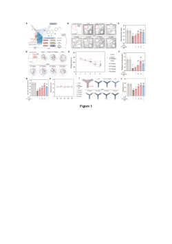 <b>Dataset for Icarintin against </b><b>PFOS neurotoxicity.</b>