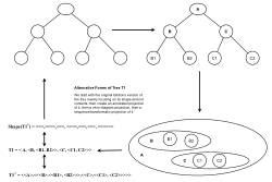 Transformatic Processing of Gibbons Tree T1