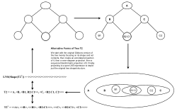 Transformatic Processing of Gibbons Tree T2