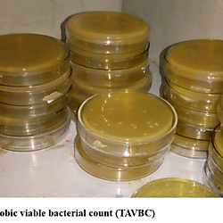Figure 2 S: Total aerobic viable bacterial count (TAVBC)