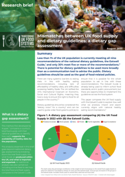 Research Brief: Mismatches between UK food supply and dietary guidelines – a dietary gap assessment