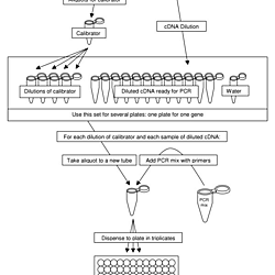 PCR set up