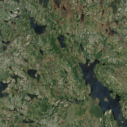 Figures and datasets for assessments