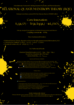 RELATIONAL QUANTUM ENTROPY THEORY (RQE)