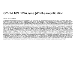 Data file 1 Exiguobacterium acetylicum 16 S PCR