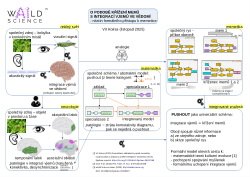 O podobě křížení memů s integrací vjemů ve vědomí - nástin formálního přístupu k memetice