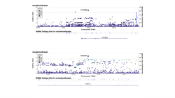 Supplementary Figures