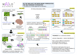 On the Similarity Between Meme Hybridization and Multisensory Integration - an outline of a formal approach to memetics