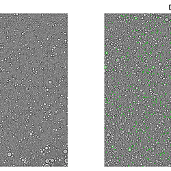 OpenCV Detection test files