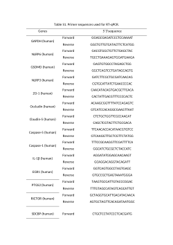 <b>Meningitic </b><b><i>Escherichia coli </i></b><b>disrupts the blood-brain barrier through pyroptosis and tight junction degradation and NLRP6 deficiency aggravates infection outcomes</b>