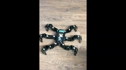 Paper: Attractoring-based locomotion for hexapods -- videos