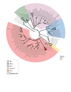 <b>Supplementary files</b> - G protein-coupled receptor diversity and evolution in the closest living relatives of Metazoa
