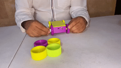 Supplementary Materials for Inclusive Low-Cost STEM Pedagogies Study