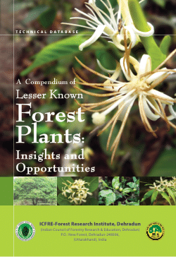 A Compendium of Lesser Known Forest Plants - Insights and Opportunities