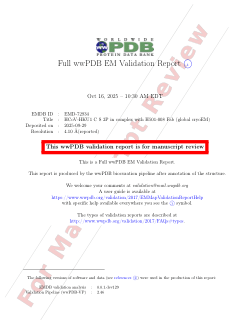 Source Data_HCoV-HKU1 mAb Characterization