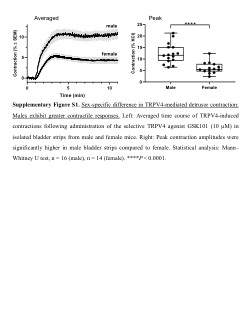 Supplementary Figures S1–S2: Sex-specific and urothelium-dependent differences in TRPV4-mediated bladder contractions